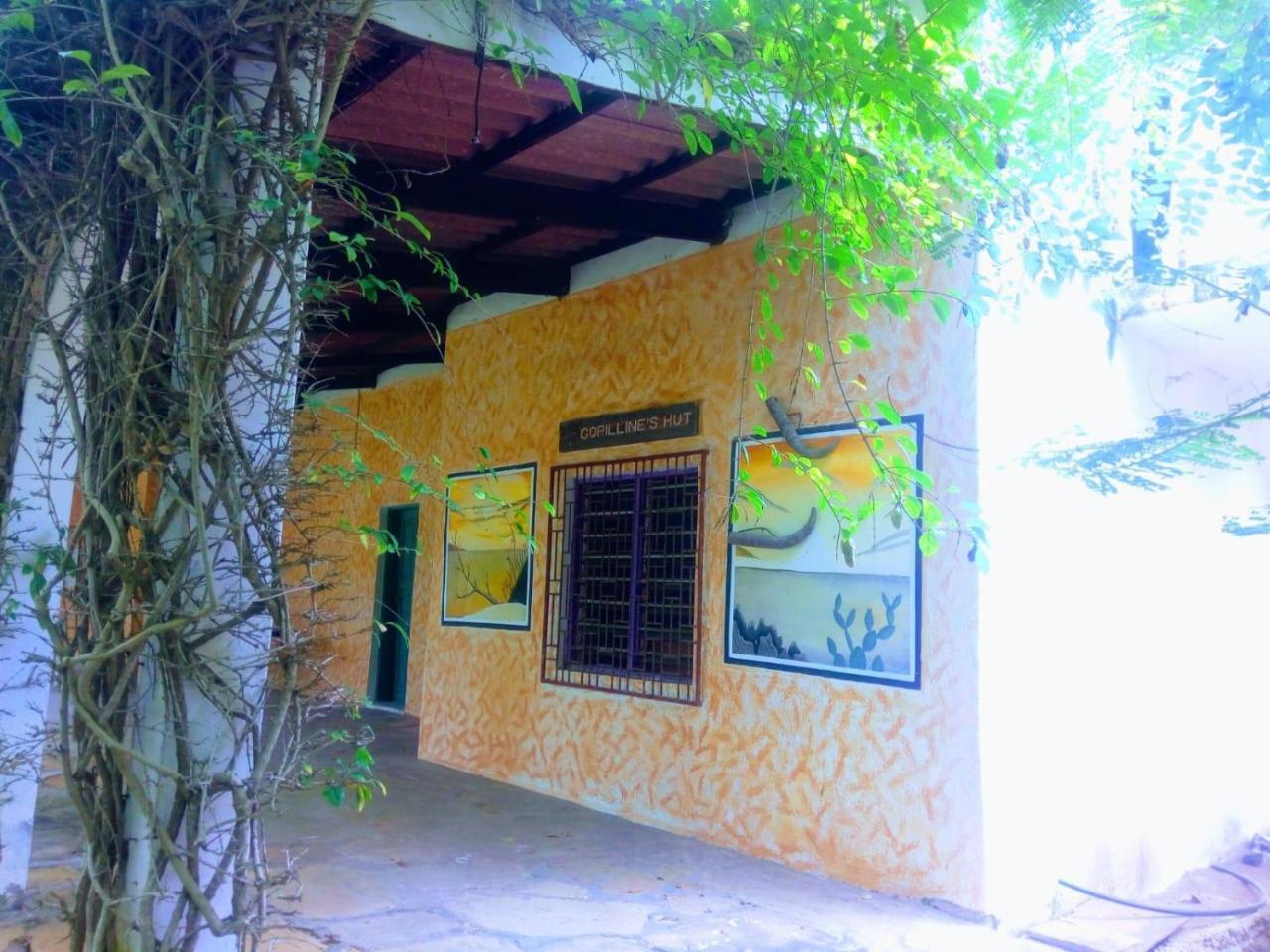 Pashmina House Bed & Breakfast Watamu Exterior photo