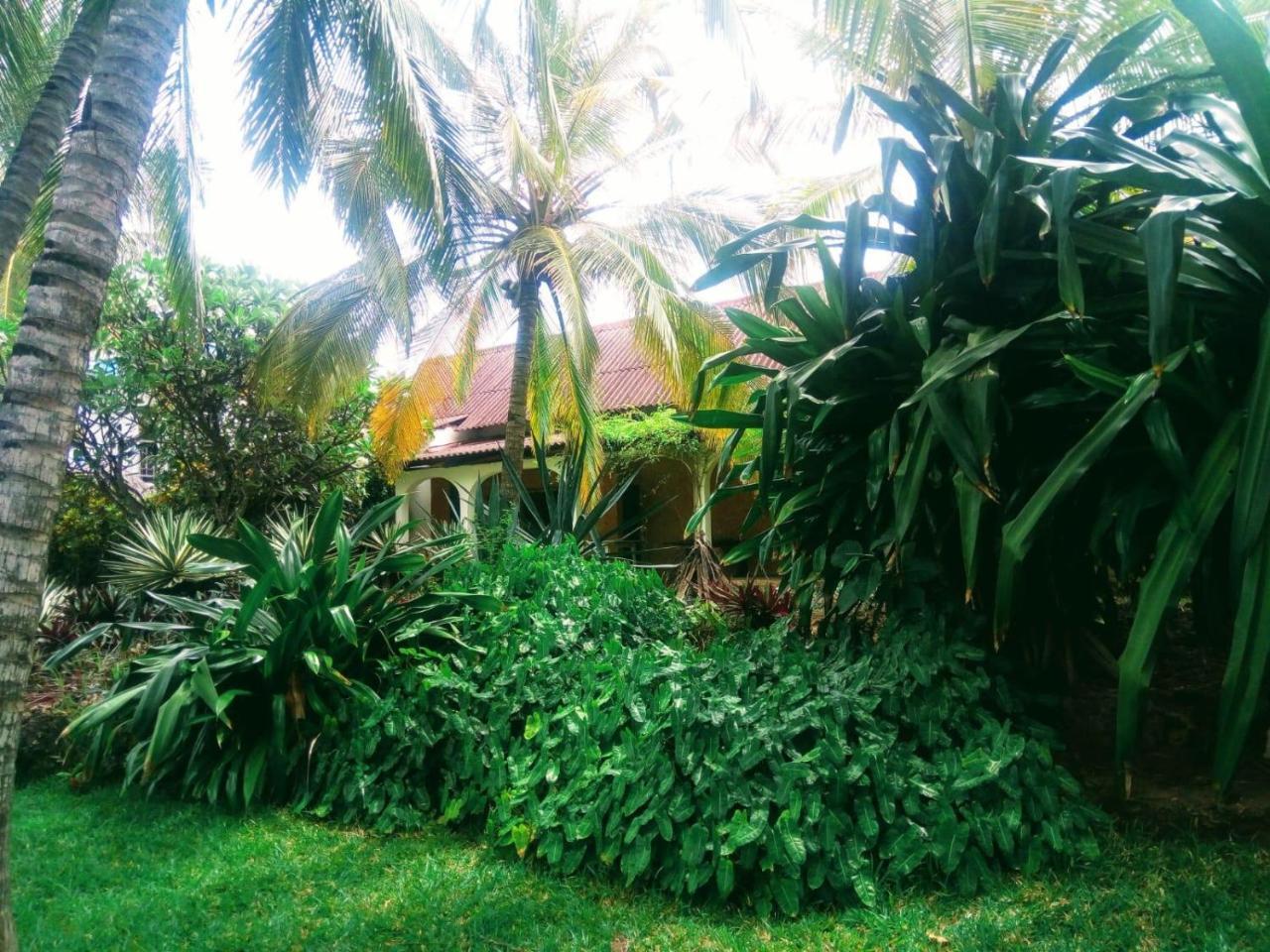 Pashmina House Bed & Breakfast Watamu Exterior photo